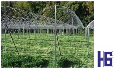 L-Applikazzjoni tal-Pajpijiet tal-Fibra tal-Karbonju fl-Agrikoltura
